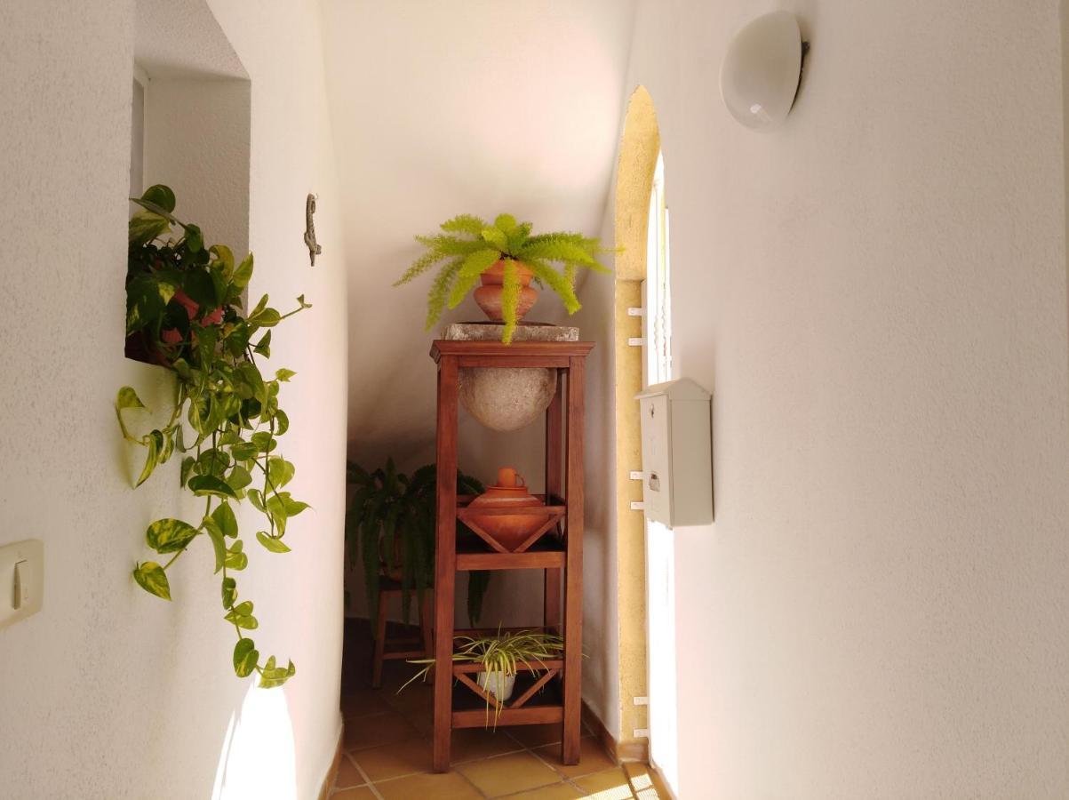 Apto. Pina De Mar Costa Adeje  Ngoại thất bức ảnh