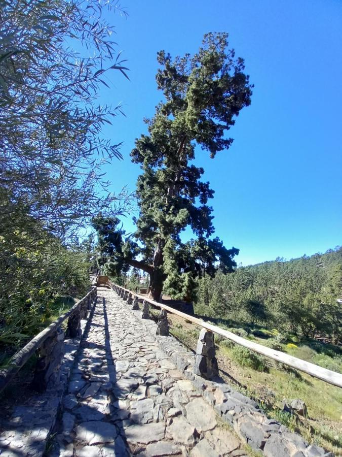 Apto. Pina De Mar Costa Adeje  Ngoại thất bức ảnh